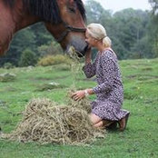 Ulrika Månsson's photo