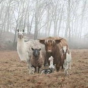 Vicki Bruning's photo