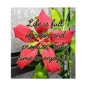 Tara Wimbush's photo