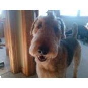 Chad Boerboom's photo