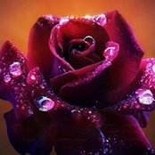 Andrea Lolies's photo