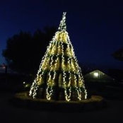 Johna Allen's photo