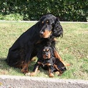 Marielle Hollander's photo