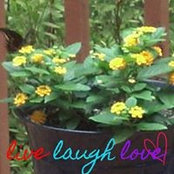 Ann Broom's photo