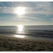 Deanna Pipitone's photo