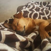 Sarah Willan Sakala's photo