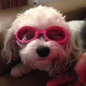 Denise Roach's photo