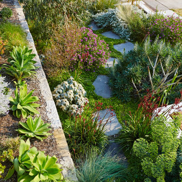 2019 Gold Award - Plantscape, Landsberg Garden Design