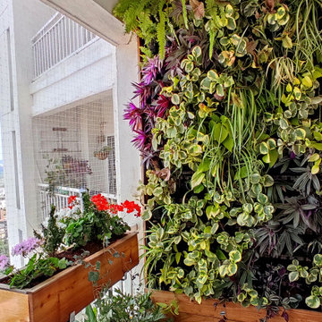 Arthy's Balcony Gardens