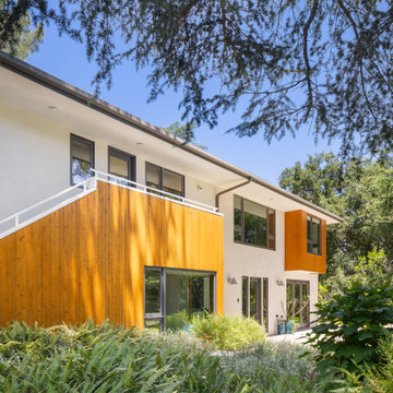 House in the Forrest