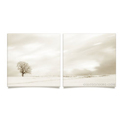 Tree Sepia Collection - Prints And Posters