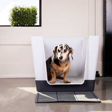 Dog Space