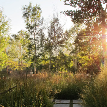 Sculpture Garden-Previous and Current Work
