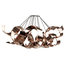 Lyndsay Pendant Light Shade, Rose Gold Finish