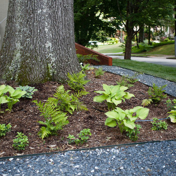 Modern and dog-friendly landscape