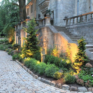 Backyard Escape