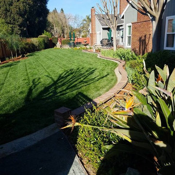 Backyard Landscape Renovation