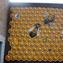 Mural Inspo