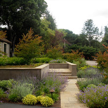 modern entry gardens