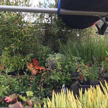 Container Heaven
