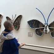 Pat Alexander's photo