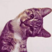Heather Anderson's photo