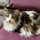 webuser_712016574