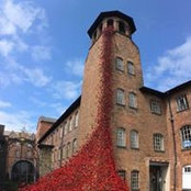 Sarah Murfin's photo