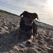 Daniela Mertens's photo