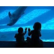Monica Sawyer's photo