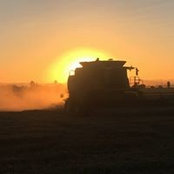 Julie Bright's photo