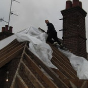 Paul Holligan's photo