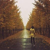 Lynn Chye's photo
