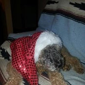 Judith Peterson's photo
