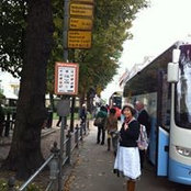 Foto von Misa Sato