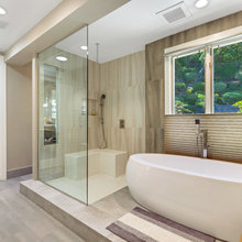 Seamless Shower Glass