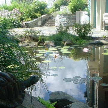 Landscape Architecture