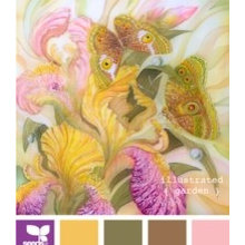 Color Schemes