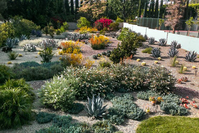 Design ideas for a garden in Los Angeles.
