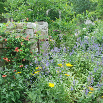 Butterfly Garden