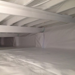 Crawl Space Mold Removal - Home Improvement
