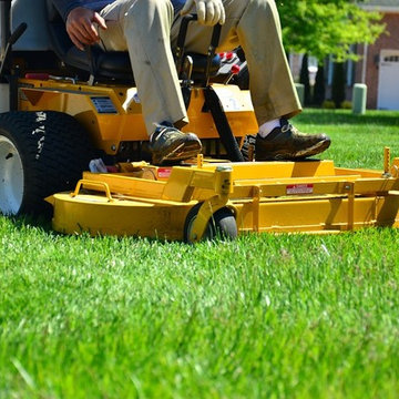 What Lawn Care Mistakes You Should Avoid