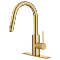 Oletto Pull-Down 2-Function 1-Handle 1-Hole Kitchen Faucet BB (Model KPF-2620BB)