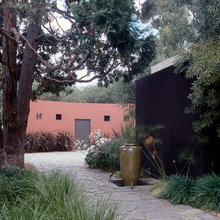 garden/plants/pots
