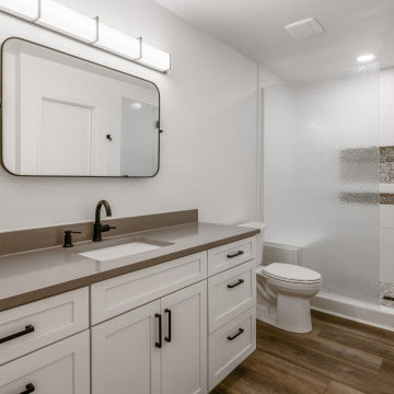 Susan's Master Bathroom Renovation