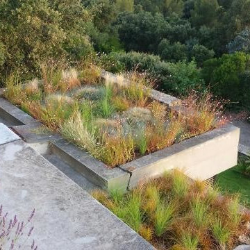 Toiture Végétale Bormes les Mimosas