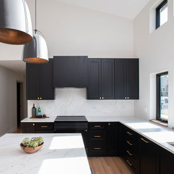 Modern Ranch Whole-Home Remodel & Addition | Arlington Heights, IL