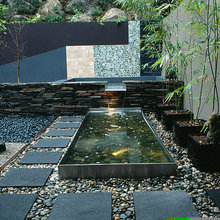 ponds