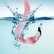 Karine Constantineau's photo