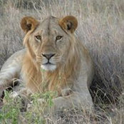 Foto de Peter Kilesi